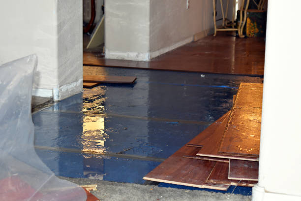 Professional Flood Damage Restoration technician working in Union, OR